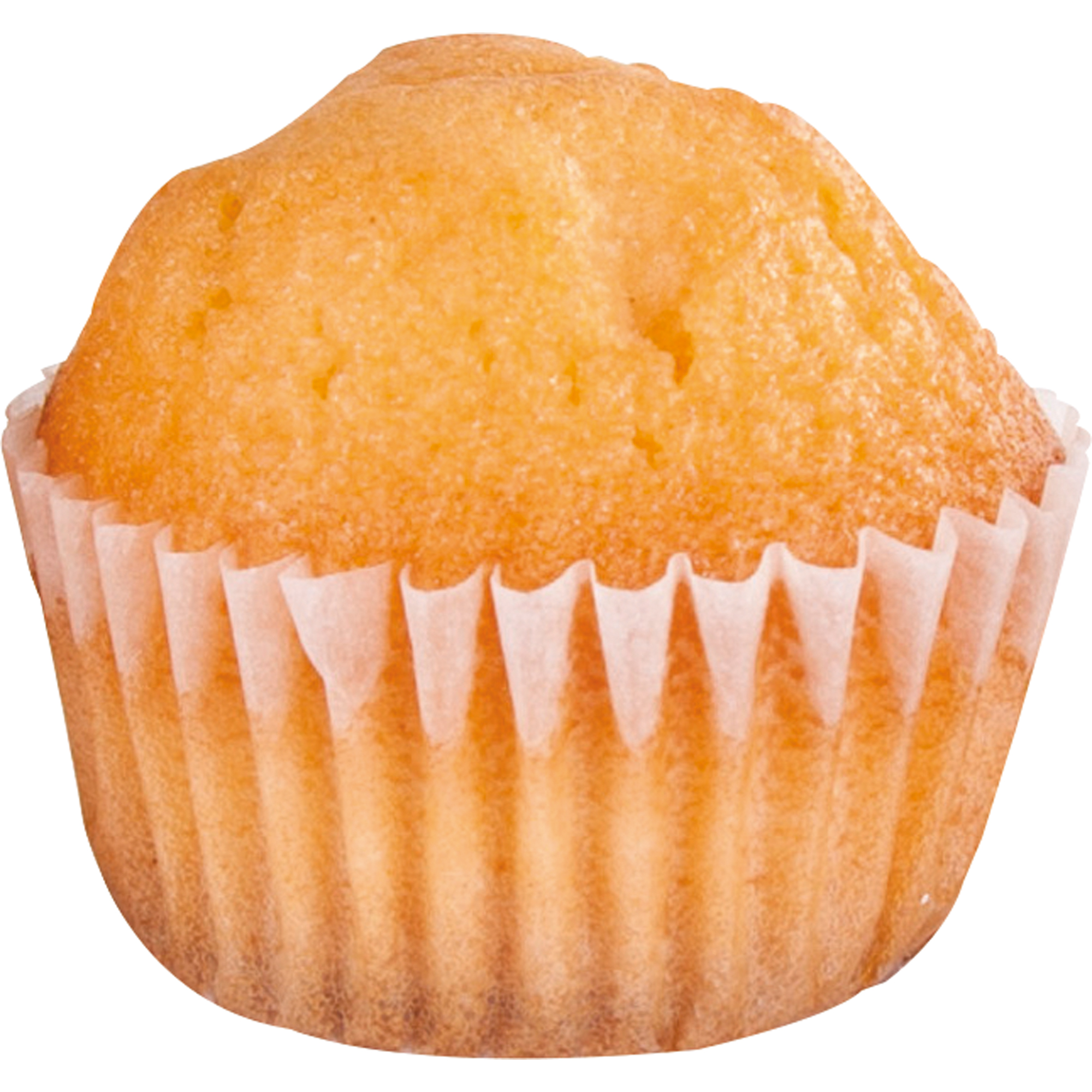 Produktabbildung - Einzelabbildung A009178E