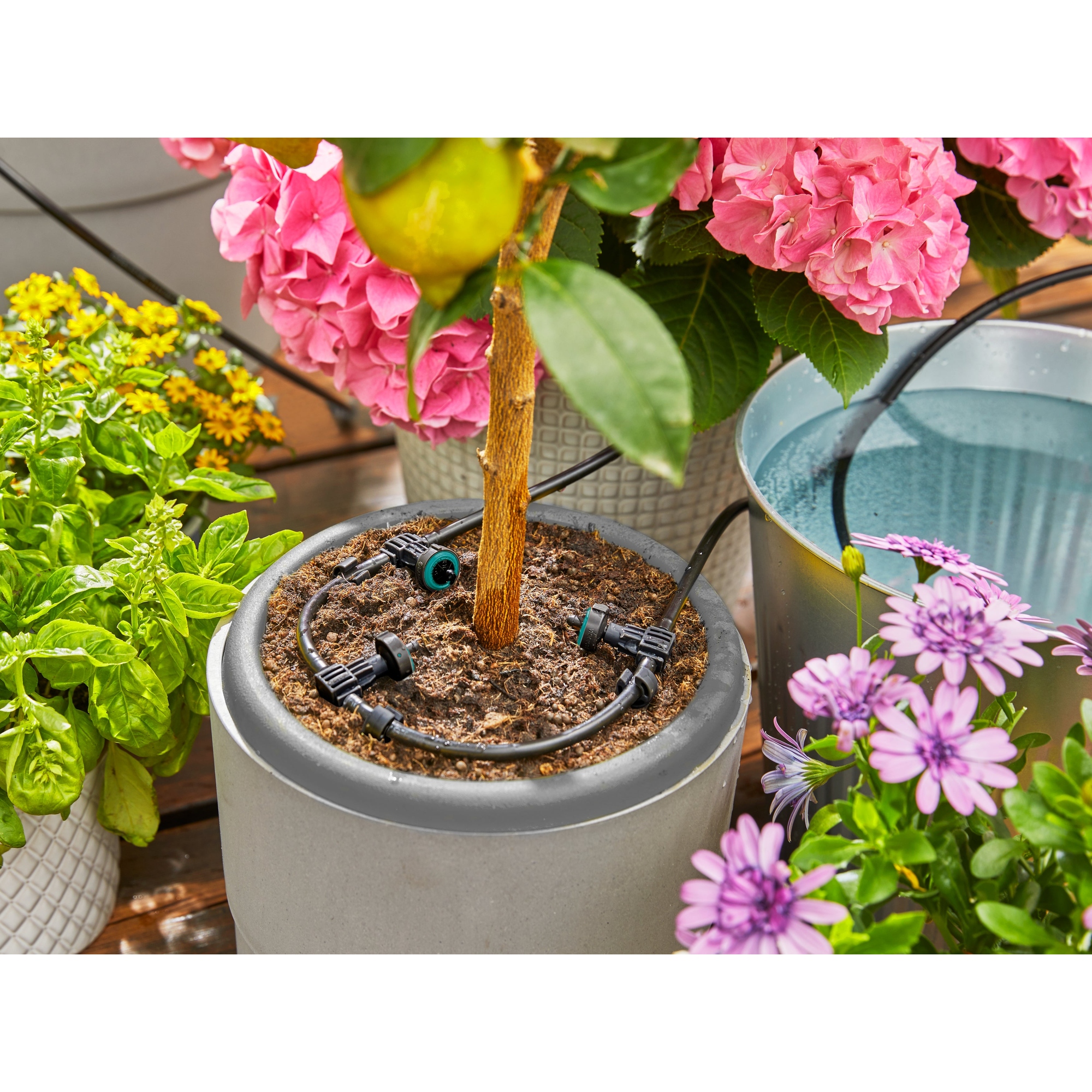 Produktabbildung - Anwendungsabb. ohne Deko Y001166T