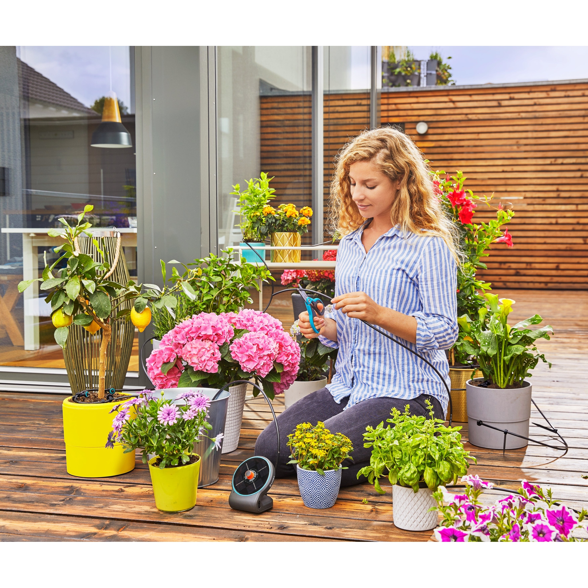 Produktabbildung - Anwendungsabb. ohne Deko Y001166Y